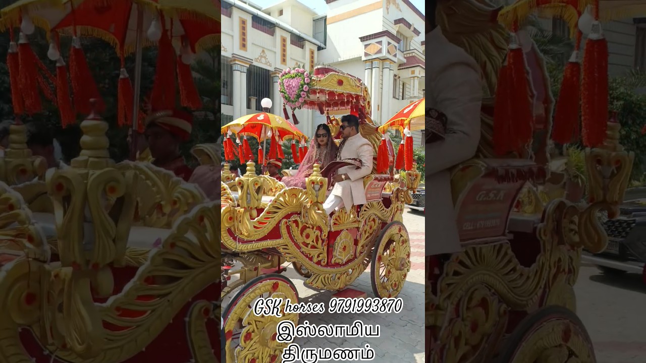இஸ்லாமிய திருமணம்#gsk #trending #horses #wedding #marriage#tamil#culture#festival #event 9791993870