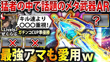【XM4超え】現環境で"SSランク"のメタ武器ARが強すぎる⁉︎ トップ猛者も愛用する『〇〇〇特化カスタム』が簡単に無双出来てエグいwww【CoDモバイル】