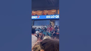 Cat Falls From Stadium