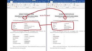 how to automate field MS word