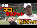 【活躍のカギ】上茶谷投手 ネコ×ラリアット!?