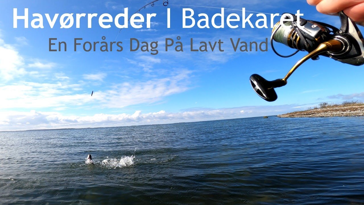 Havørreder I Badekaret | En Forårs Dag På Lavt Vand