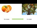 Les Arbres Fruitiers Cp 