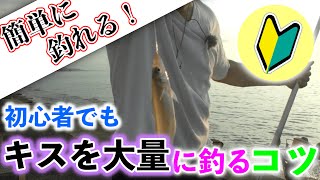 【家族との釣りにもオススメ！】簡単かつ大量にキスを釣ろう!!