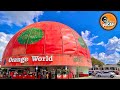 Orange World Fire Damage Update | Highway 192 Kissimmee | Old Town and More!