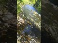 речка успокаивающий шум воды Живая природа