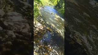 речка успокаивающий шум воды Живая природа