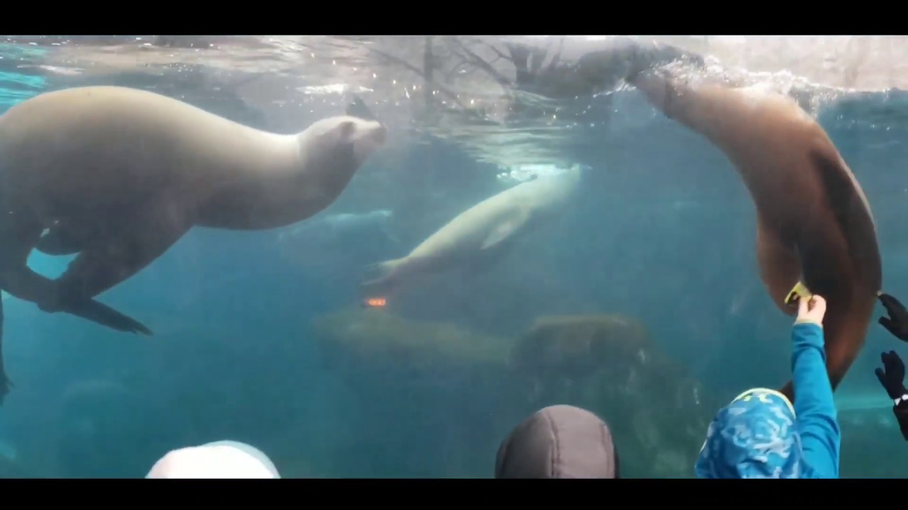 Spending the night at the St Louis Zoo