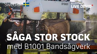 Såga stor stock med B1001 Bandsågverk! | LOGOSOL LIVE