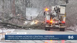Fallen trees lead to Virginia power outages