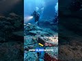 Why you shouldn't dive into the Kermadec Trench 🚫 #diving #ocean