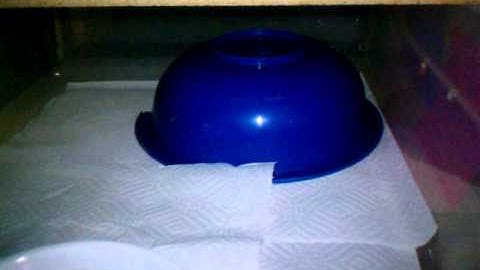 Setting up Snake rack and thermostat