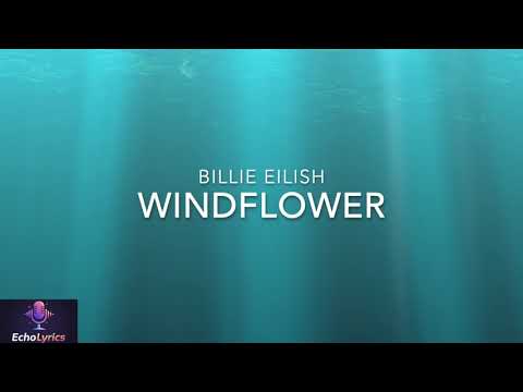 @BillieEilish - WINDFLOWER (Lyrics)