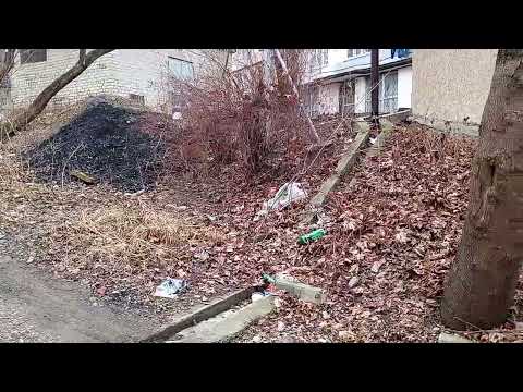 Кисловодск. Старое кладбище