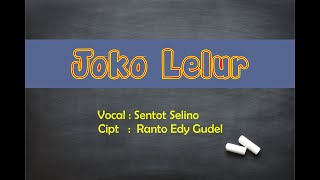 Joko Lelur + Lirik