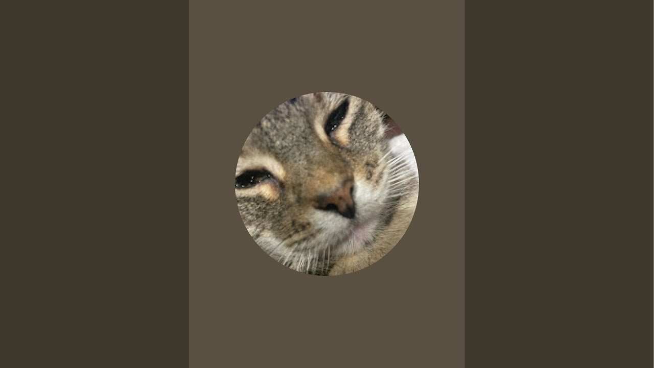 Steve’s garden is live!