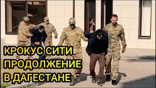 В Дагестане новые задержания. Крокус Сити Москва продолжение