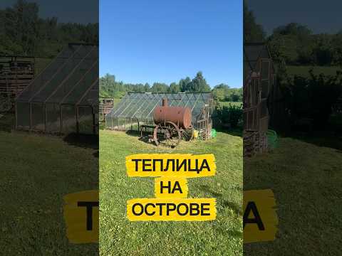 #361. ТЕПЛИЦА НА ОСТРОВЕ 🏝 #live