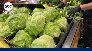 People can resume regular lettuce-eating habits, Michigan health officials say
