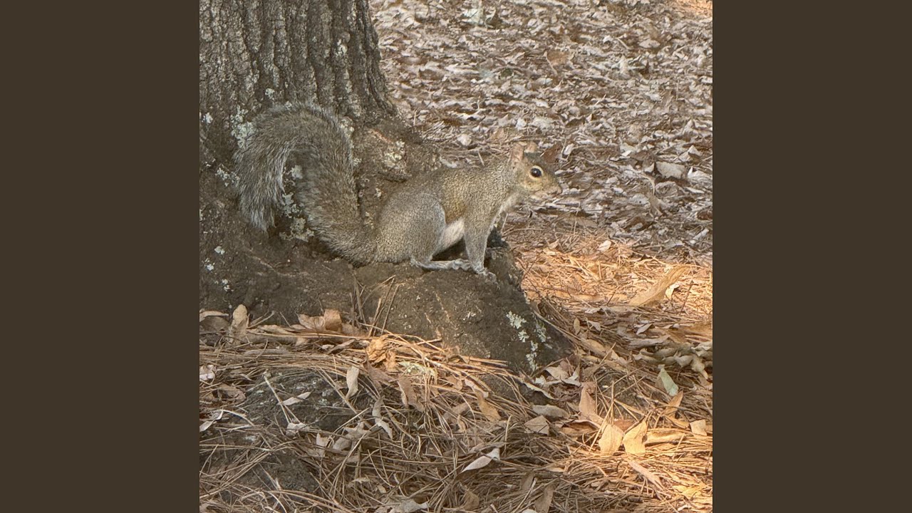 Basic-Steps auf YouTube ansehen Basic-Steps auf YouTube ansehen