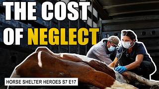 Trailer of Horror: Critically ill Horses Need Immediate Help I Horse Shelter Heroes - S7 E17