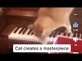 Cat Creates A Masterpiece?🎹🐈😯