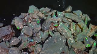 315cts Lightning ridge opal rough parcel, untouched material