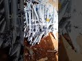 Emmy King blacksmithing producer #goviral #yppppppppppppppppppppppp