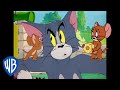 Tom  jerry  how to catch a mouse  classic cartoon compilation  wb kids