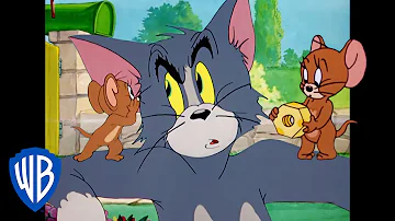 Tom Jerry How To Cat Ch A Mouse Classic Cartoon Compilation WB Kids 