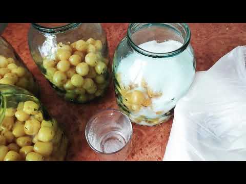 როგორ მოვამზადოთ თეთრი ბლის კომპოტი?