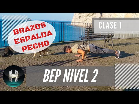 ? Rutina de ejercicios BRAZOS, ESPALDA Y PECHO EN CASA | Fuertes y definidos en 10 minutos! ?