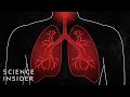 Understanding COVID-19 Risks and Precautions