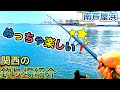 【南芦屋浜】チヌやグレ、青物の釣果あり！ファミリーにも最適な各ポイント〜関西のおすすめ釣り場紹介〜