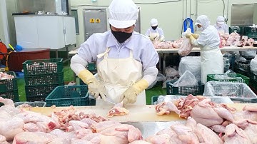 Cách lọc đùi gà ( bên trái ).