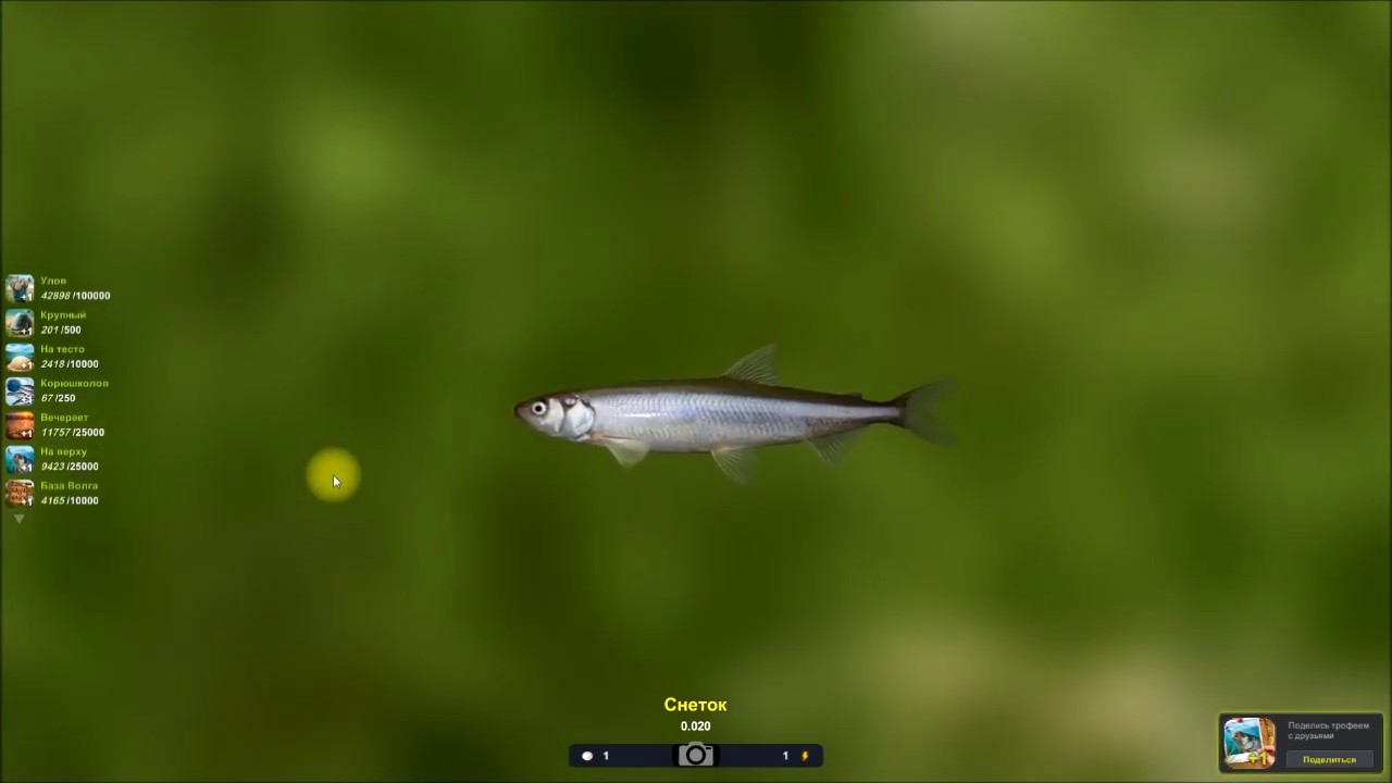 Снеток, ловля снетка в игре Трофейная рыбалка 2