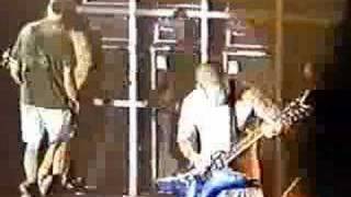 Panterica metallica U0026 Pantera Together  Whiplash