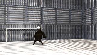 Celebrity 3D Motion Capture Animation using 3DsMax MotionBuilder and Blade Net Worth