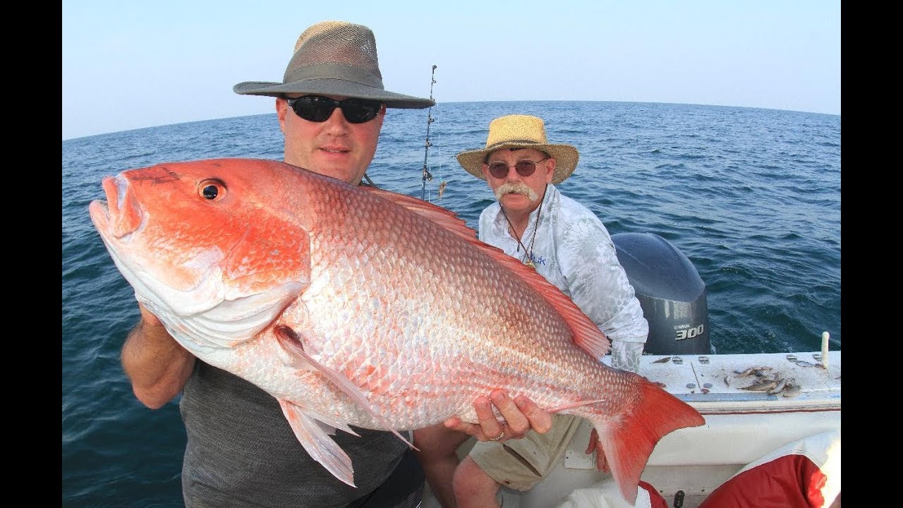 Perremo Fish 2018Aug24 MP260 Hammerhead Shark Fishing & Scuba Diving with PrimoFish ...