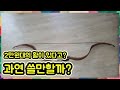 2만원대의 활 구입해봤습니다 국궁과 비슷한모양 TD 활 crab bow  Mughal bow archery