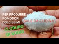 Segreto Definitivo per ottenere Pomodori molto Dolci fornendo Sale da Cucina