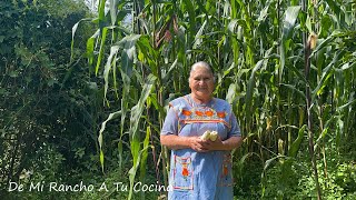 Thumbnail image for Siempre Se Acaba Esta Comida De Mi Rancho A Tu Cocina