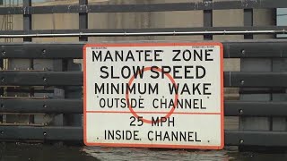 Keeping manatees safe