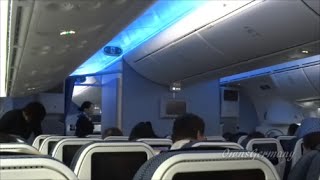 ANA 787 Dreamliner Economy Class Flight Experience Seattle
