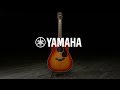 Yamaha FG830 Acoustic Guitar, Autumn Burst | Gear4music demo