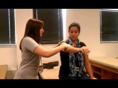 Manual Muscle Test Shoulder Flexion