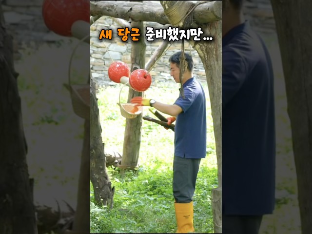 '푸바오, 새 당근도 준비했는데...? 