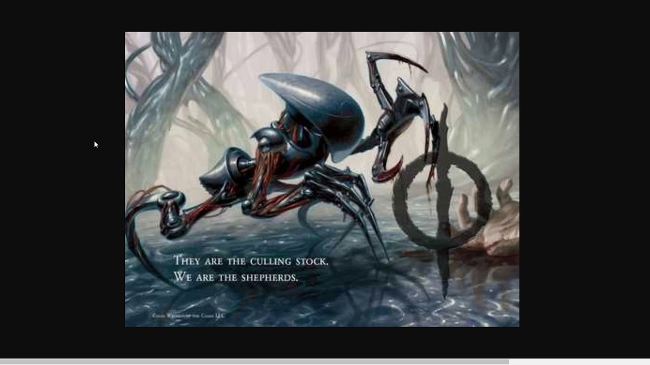 Shifting gears and starting a new channel: The Pauper Metagame