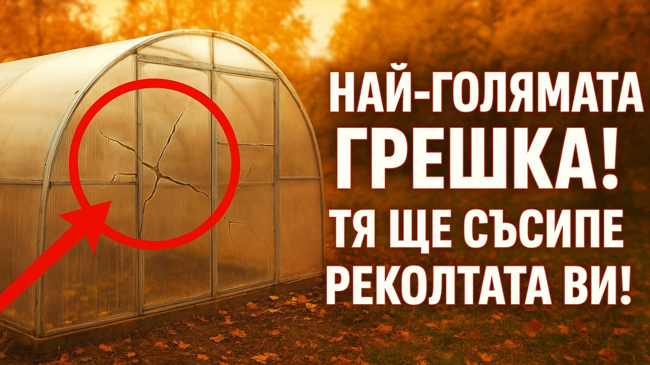 Най-голямата грешка при подготовката на оранжерията за зимата – тя ще съсипе цялата ви реколта! Ето