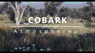 Cobark Atmospheres | Unity HDRP Australian Environment